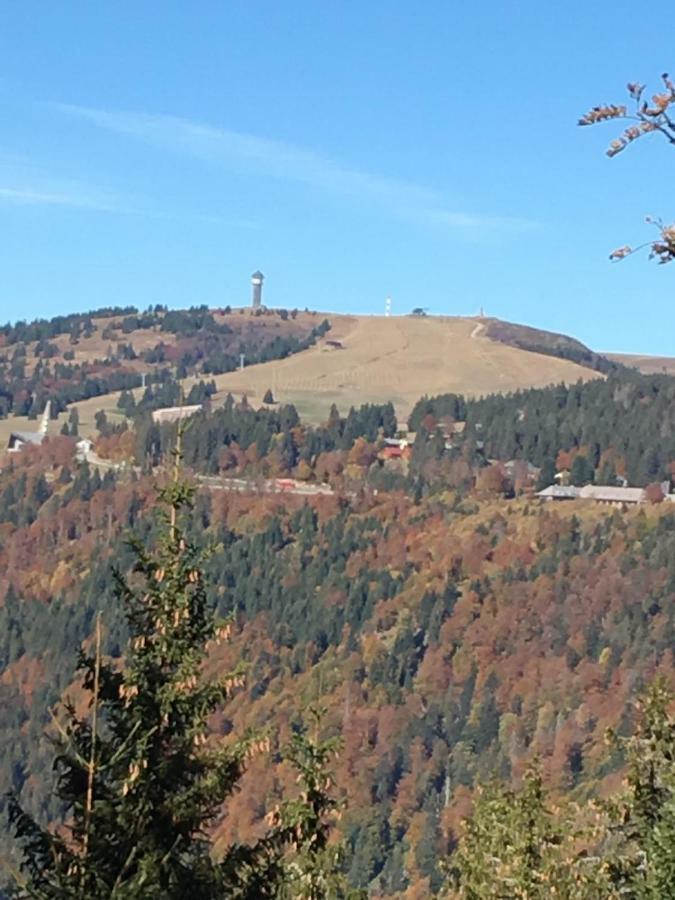 Chalet Breitnauschoen 외부 사진
